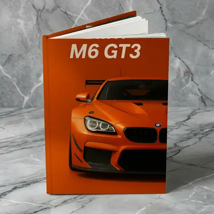 BMW M6 GT3 Orange Racing Car Art