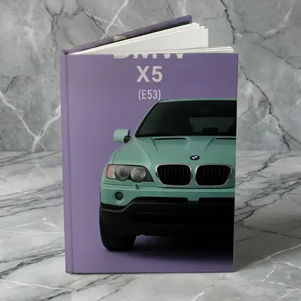 BMW X5 E53 Mint Green Purple Background