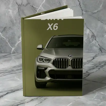 BMW X6 Front View Olive Green Background