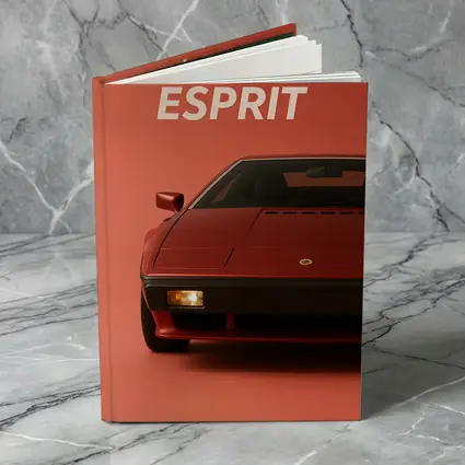 Lotus Esprit Red Minimal Car Art