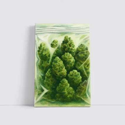 Cannabis Buds Watercolor Painting Green Bag