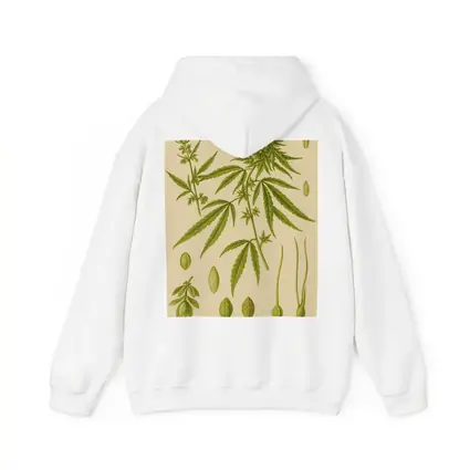 Cannabis Sativa Botanical Illustration Beige Background