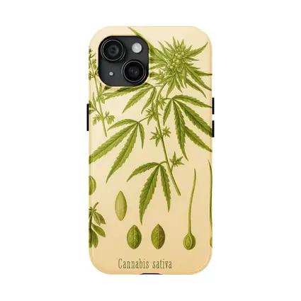 Cannabis Sativa Botanical Illustration Beige Background