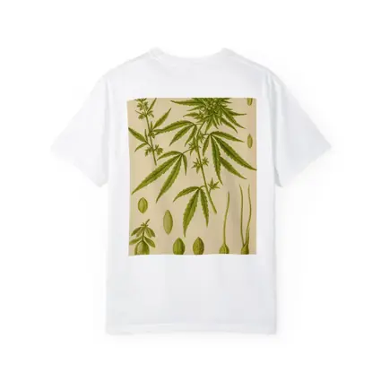 Cannabis Sativa Botanical Illustration Beige Background