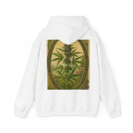 Cannabis Sativa Botanical Illustration Vintage Style