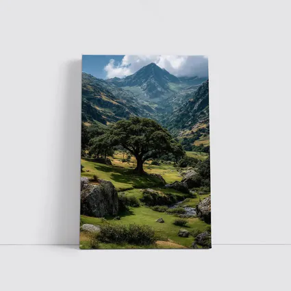 Lone Tree Green Valley Mountain Landscape