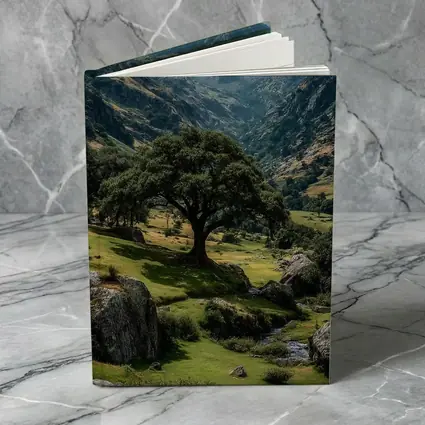 Lone Tree Green Valley Mountain Landscape