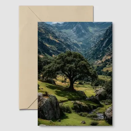 Lone Tree Green Valley Mountain Landscape