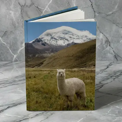 White Alpaca Snow Mountain Blue Sky