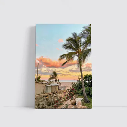 Tropical Beach Sunset Palm Trees Pink Sky
