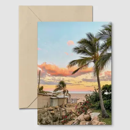 Tropical Beach Sunset Palm Trees Pink Sky
