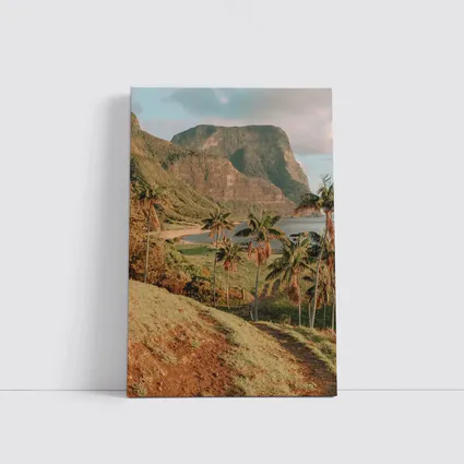 Tropical Palm Trees Mountain Bay Coastal View