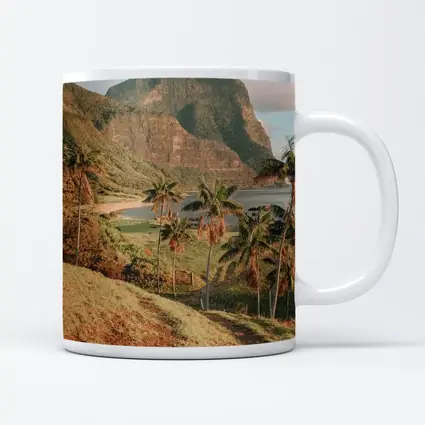 Tropical Palm Trees Mountain Bay Coastal View