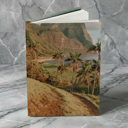 Tropical Palm Trees Mountain Bay Coastal View