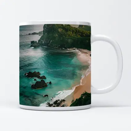 Tropical Beach Rocky Island Turquoise Ocean
