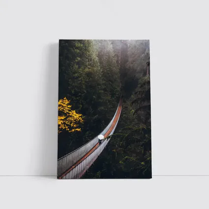 Suspension Bridge Deep Forest Green Trees