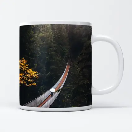 Suspension Bridge Deep Forest Green Trees