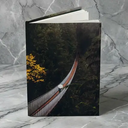 Suspension Bridge Deep Forest Green Trees