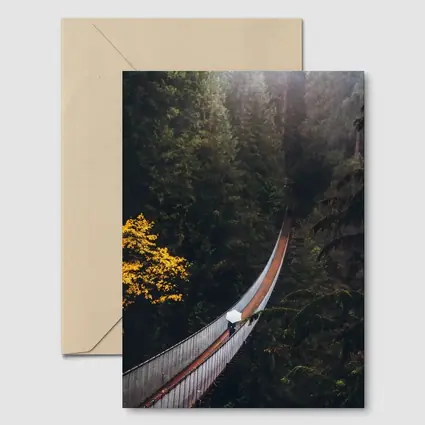 Suspension Bridge Deep Forest Green Trees