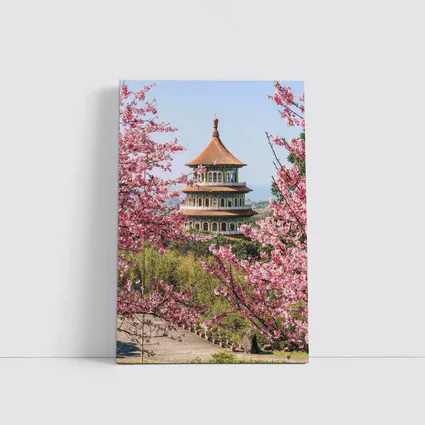 Chinese Pagoda Tower Pink Cherry Blossoms