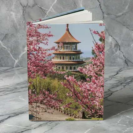 Chinese Pagoda Tower Pink Cherry Blossoms