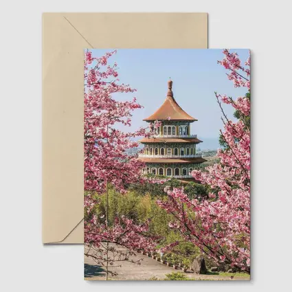 Chinese Pagoda Tower Pink Cherry Blossoms