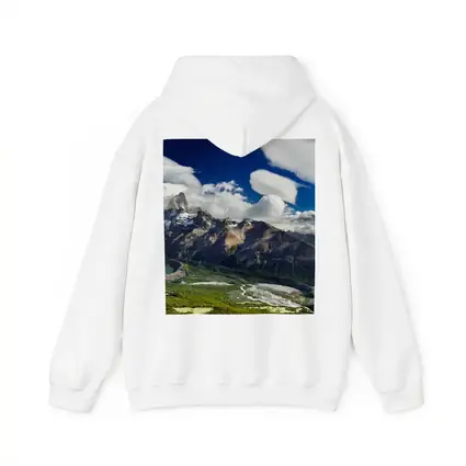 Fitz Roy Mountain Patagonia Green Valley Panorama