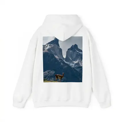 Guanaco Standing Before Patagonian Mountain Peaks