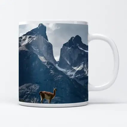 Guanaco Standing Before Patagonian Mountain Peaks