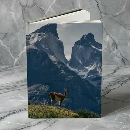 Guanaco Standing Before Patagonian Mountain Peaks