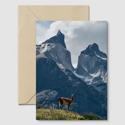 Guanaco Standing Before Patagonian Mountain Peaks