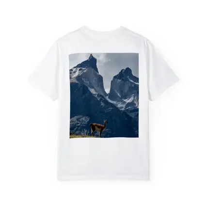 Guanaco Standing Before Patagonian Mountain Peaks