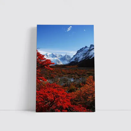Cerro Torre Patagonia Red Autumn Trees