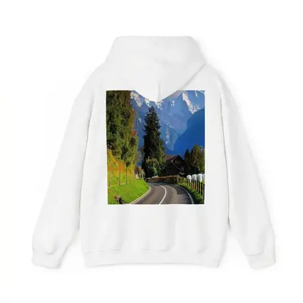 Winding Alpine Road Switzerland Snow Mountains