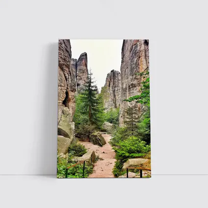 Narrow Rock Canyon Path Through Forest