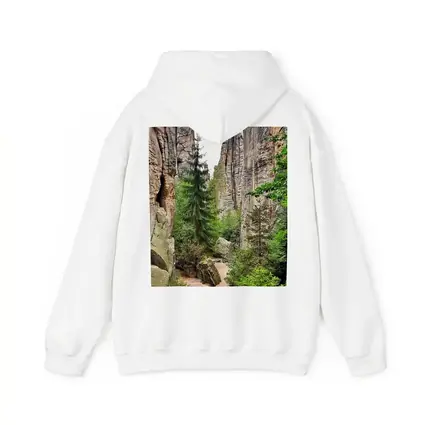 Narrow Rock Canyon Path Through Forest