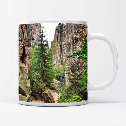 Narrow Rock Canyon Path Through Forest