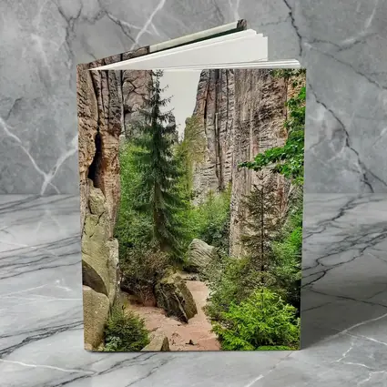 Narrow Rock Canyon Path Through Forest