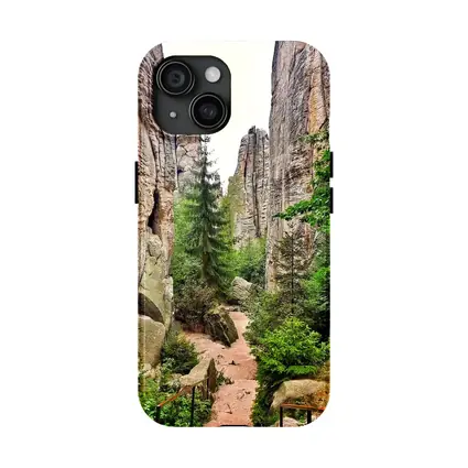 Narrow Rock Canyon Path Through Forest