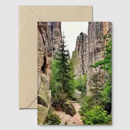 Narrow Rock Canyon Path Through Forest