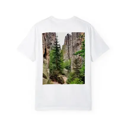 Narrow Rock Canyon Path Through Forest