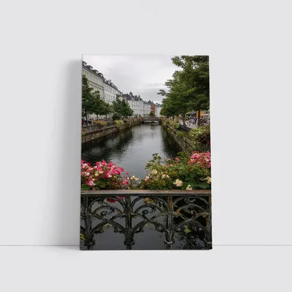 Aarhus Canal Bridge Flowers Denmark City