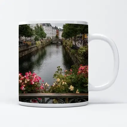 Aarhus Canal Bridge Flowers Denmark City