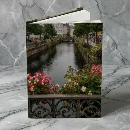 Aarhus Canal Bridge Flowers Denmark City