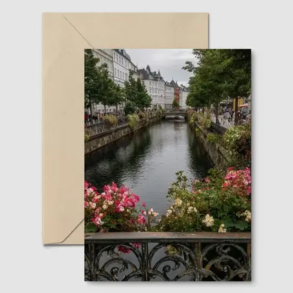 Aarhus Canal Bridge Flowers Denmark City