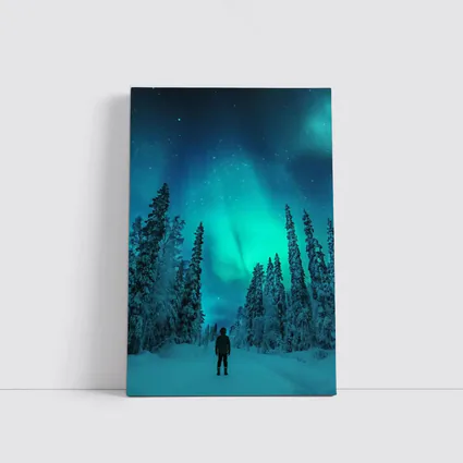 Person Standing Under Northern Lights Winter Forest