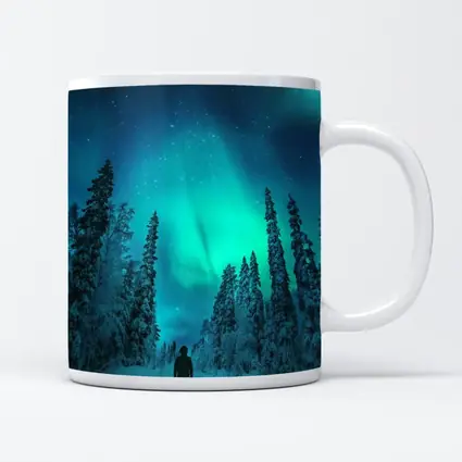 Person Standing Under Northern Lights Winter Forest