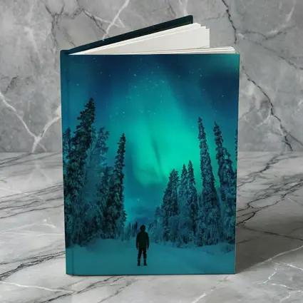 Person Standing Under Northern Lights Winter Forest