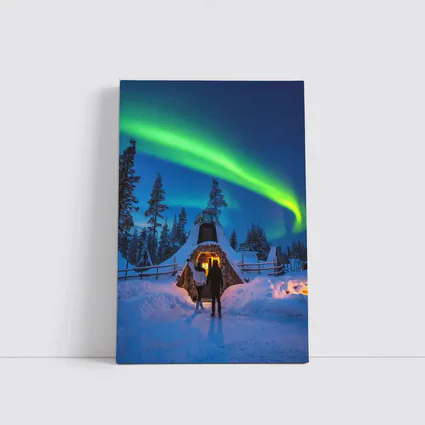 Couple Northern Lights Aurora Winter Forest