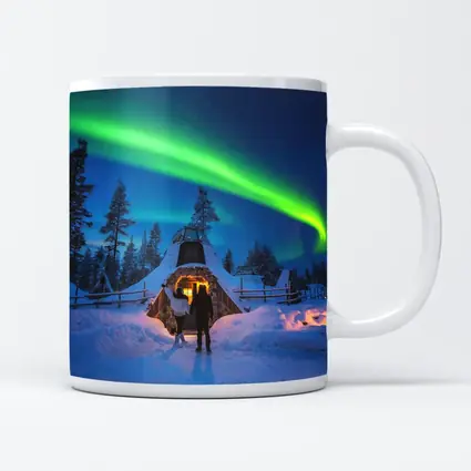 Couple Northern Lights Aurora Winter Forest